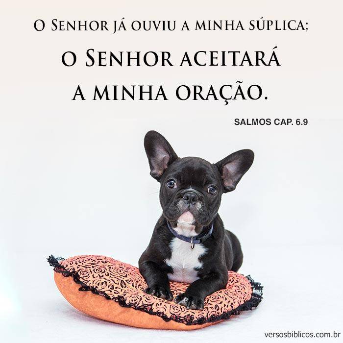 Versículos de Salmos com Orações e Conversas com Deus