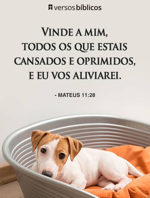 Versículos de Mateus para Refletir sobre Amor e Bençãos