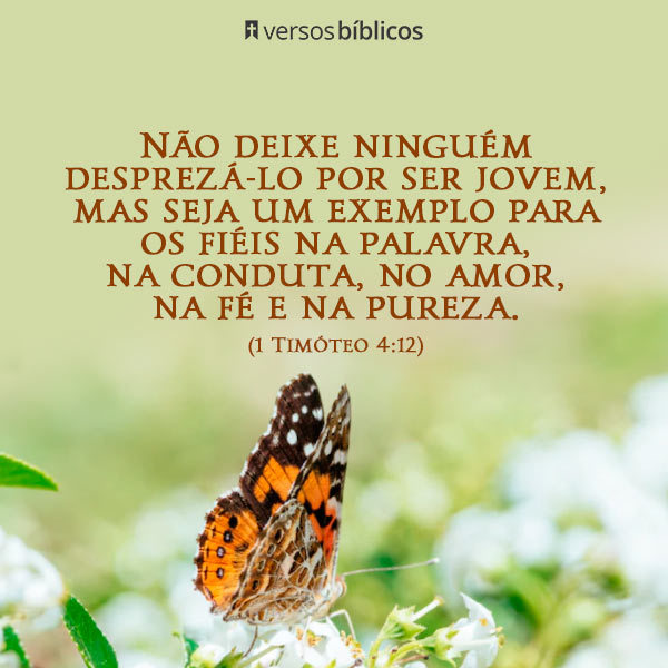 Mensagem de Tia para Sobrinha: +40 Versículos para Abençoar a Família